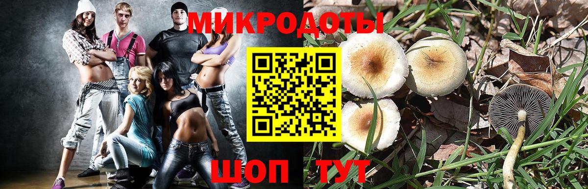 Псилоцибиновые грибы мухоморы Южноуральск